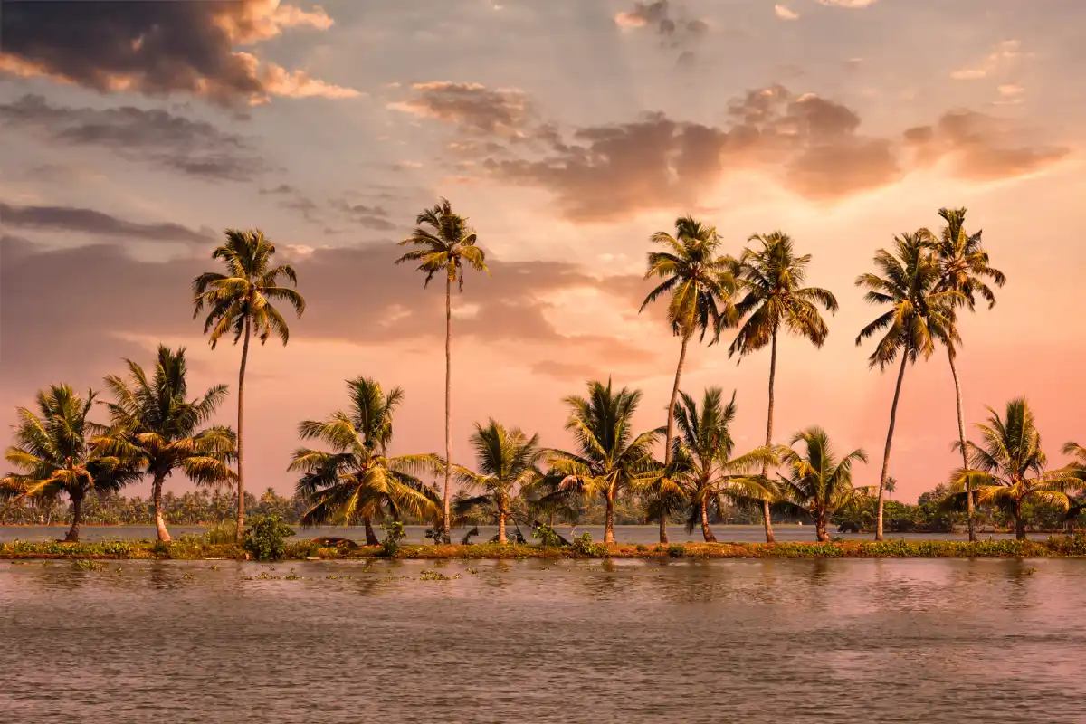 Kerala – (God’s Own Destiny)