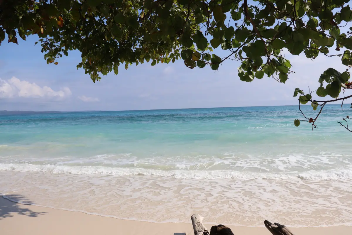 Andaman (Incredible Island) 9 days