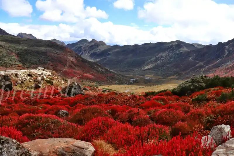 Arunachal Pradesh (Unseen Beauty)