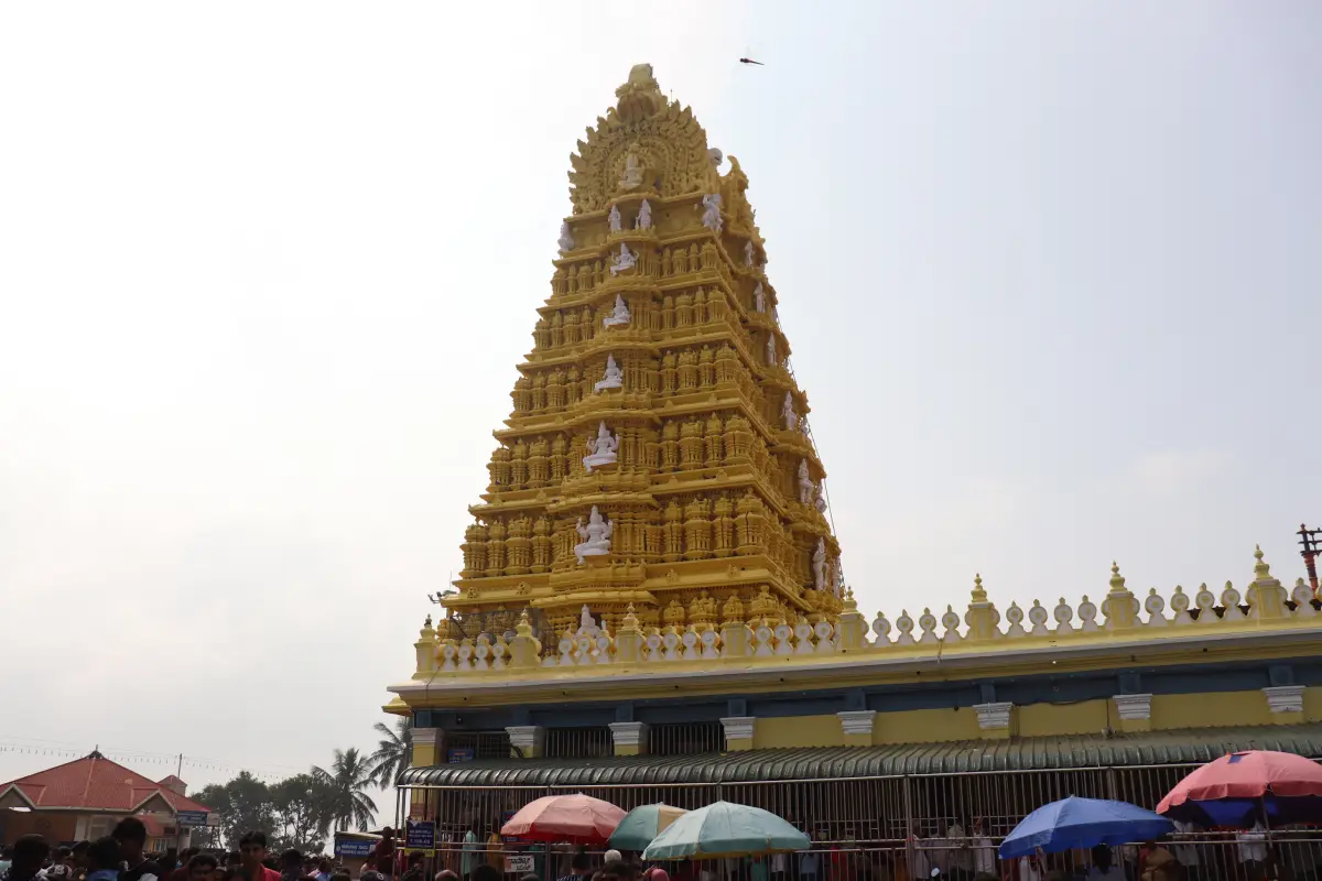gallery_img2