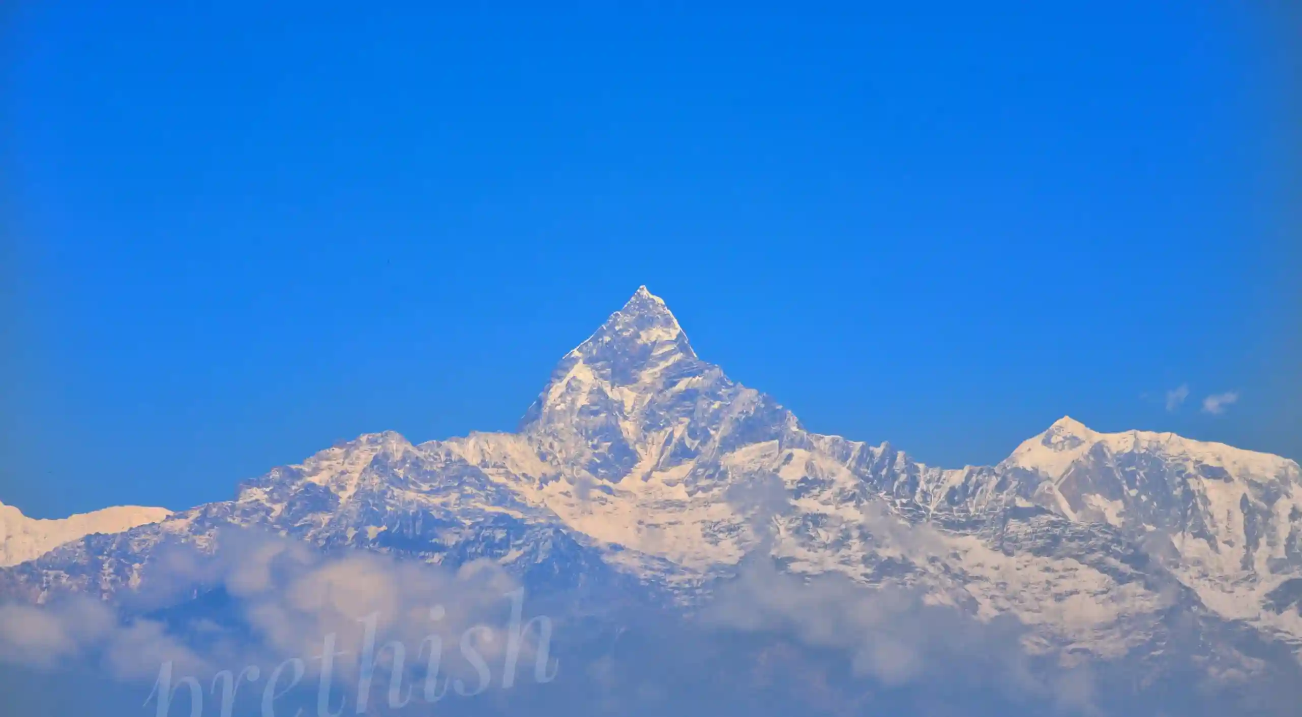 gallery_img8